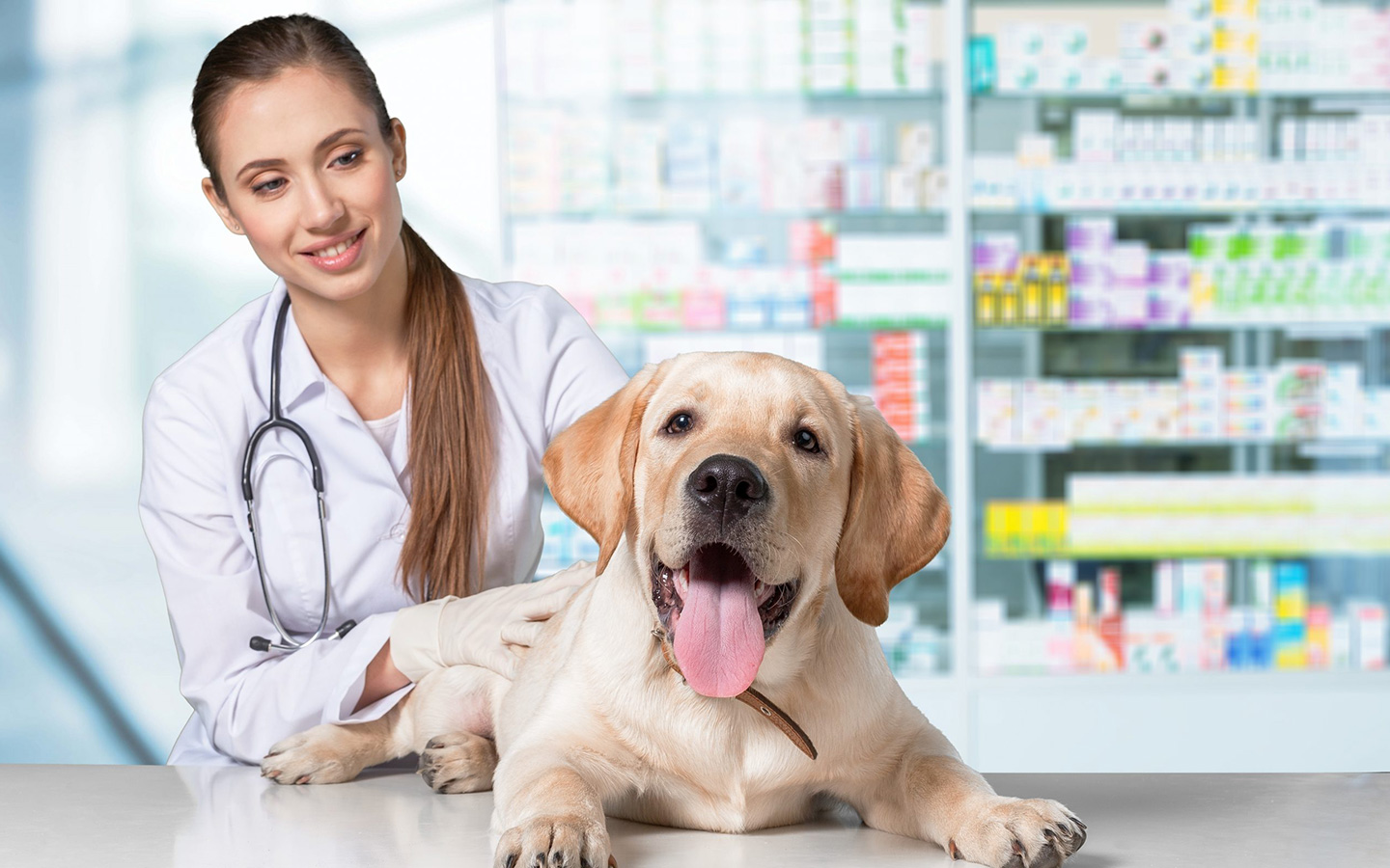 08. Farmacia Veterinaria e Inventarios